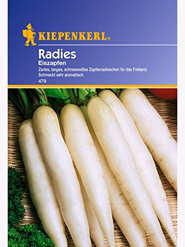 Radies Eiszapfen von Kiepenkerl - Gemüse-Saatgut