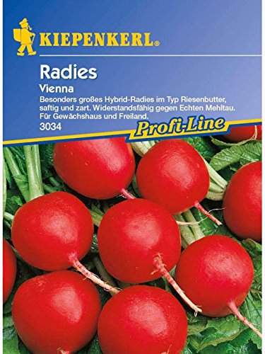 Radies Riesenbutter Vienna tolerant von Kiepenkerl - Gemüse-Saatgut