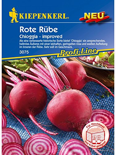 Rote Rübe Chioggia von Kiepenkerl - Gemüse-Saatgut