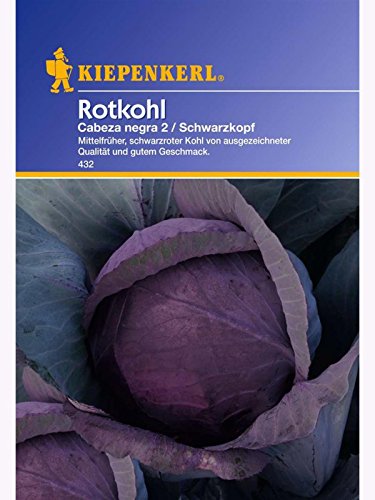 Rotkohl Cabeza negra2 Schwarzkopf2 früh von Kiepenkerl