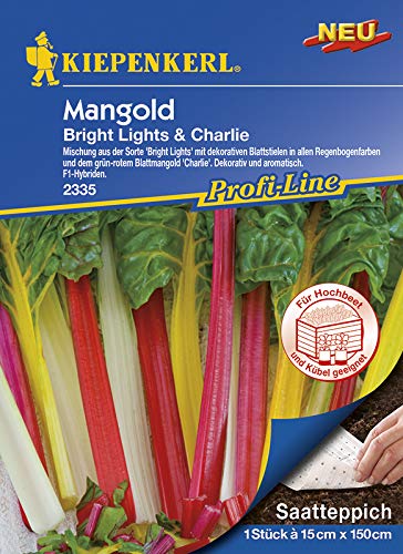 Saatteppich Mangold Bright Lights, Charlie (15cm x 150cm) von Kiepenkerl