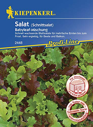 Salat (Schnittsalat), Babyleaf- Mischung, schnellwachsende Blattsalate für mehrfache Ernten bis zum Frost, sehr ergiebig, für Beete und Balkon von Kiepenkerl