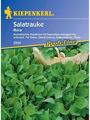 Salatrauke Ruca von Kiepenkerl - Gemüse-Saatgut