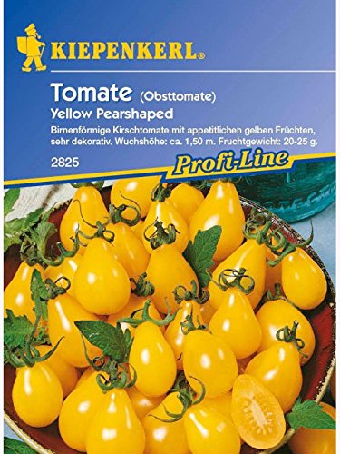 Tomaten Cherrytomaten Yellow Pearshaped birnenförmig gelb von Kiepenkerl