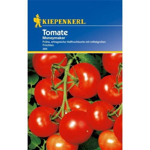 Tomaten Moneymaker von Kiepenkerl