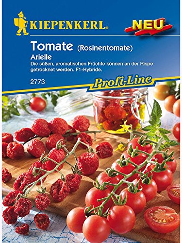 Tomaten Rosinentomate Arielle (Cherry-Tomate) von Kiepenkerl - Gemüse-Saatgut