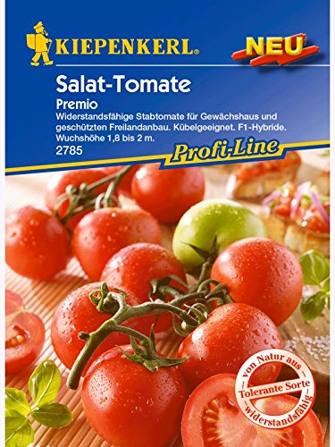 Tomaten Salattomate Premio von Kiepenkerl - Gemüse-Saatgut