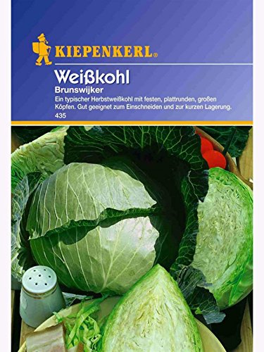 Weisskohl Brunswijker früh von Kiepenkerl - Gemüse-Saatgut