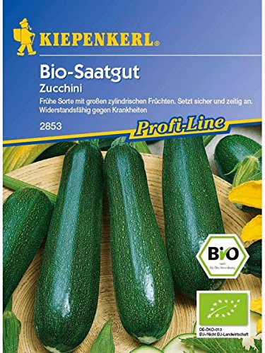 Zucchini grün BIO-Saatgut von Kiepenkerl - Gemüse-Saatgut