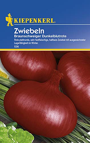 Zwiebeln Braunschweiger von Kiepenkerl - Gemüse-Saatgut