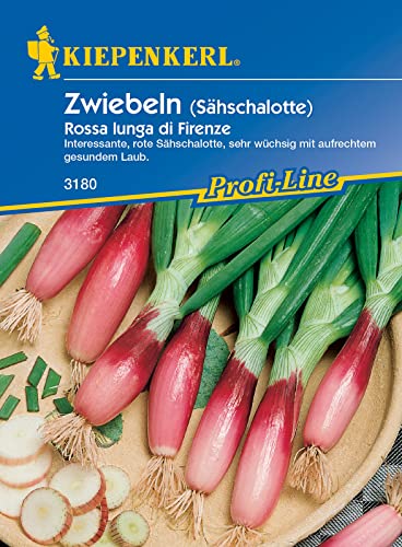 Zwiebeln Lauchzwiebeln Rossa Lunga di Firenze Rote von Florenz rot von Kiepenkerl