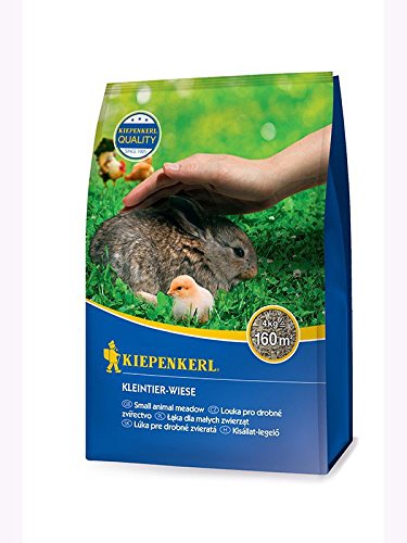 Kiepenkerl Kleintier-Wiese Kbb 4kg von Kiepenkerl - Rasen