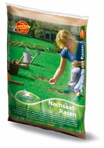 Rasenmischung, Pegasus Nachsaat, Inhalt: 1kg für ca. 25 m², schnell und leichter Lückenschluss - auch ohne Umgraben von Kiepenkerl - Rasen