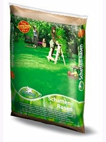 Rasenmischung Schattenrasen Pegasus 1kg von Kiepenkerl - Rasen