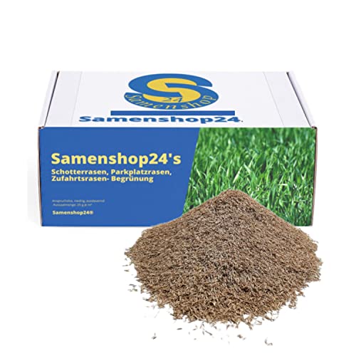 Samenshop24® DSV 530 Schotterrasen, Parkplatzrasen, Zufahrtsrasen- Begrünung (5 kg) von Samenshop 24