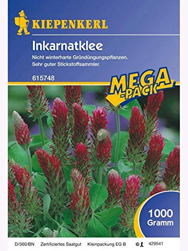 Inkarnatklee Gründünger 1kg von Kiepenkerl - sonstiges Saatgut