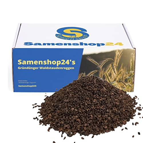 Samenshop24® Waldstaudenroggen, Inhalt: 1kg Saatgut, alte Getreide-Sorte mit sehr hohen Werten an Mineral-, und Ballaststoffen von Samenshop 24