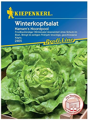 2465 Kiepenkerl Nansen's Noordpool Wintersalat Samen Winterhart | Bewährte Sorte | Wintergemüse Saatgut | Frühjahr u. Herbst | Wintergemüse Samen | Salat Samen von Kiepenkerl