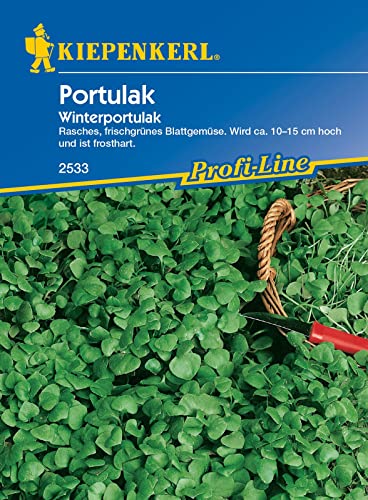 2533 Kiepenkerl Portulak Samen | Raschwachsend | Postelein Samen | Herbst- u. Winterernte | Winterpostelein Samen | Wintersalat Samen von Kiepenkerl