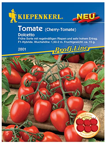 2801 Kiepenkerl Premium Tomatensamen Dolcetto | Sehr Fruchtig Süß | Cherry Tomaten Samen | Oval | Cocktailtomaten Samen | Cherry Tomaten Samen | Tomaten Saatgut | Rispentomaten Samen von Kiepenkerl