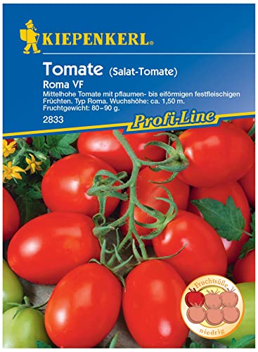 2833 Kiepenkerl Premium Tomatensamen Roma | Festfleischig | Cherry Tomaten Samen | Eiförmig | Cocktailtomaten Samen | Cherry Tomaten Samen | Tomaten Saatgut | Rispentomaten Samen von Kiepenkerl