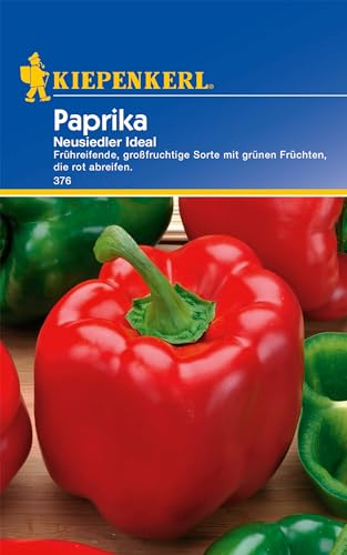 376 Kiepenkerl Premium Paprika Samen | Frühreifend | Paprikasamen | Großfruchtig | Paprika Samen alte Sorten | Paprika Saatgut | Paprika Rot Samen von Kiepenkerl