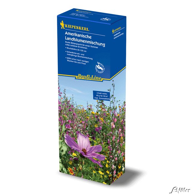 Amerikanische Landblumenmischung - 50 m² Lieferform: Portionssaatgut Amerikanische Landblumenmischung - 50 m² Lieferform: Portionssaatgut von Kiepenkerl