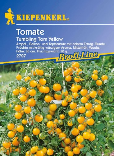 Ampeltomaten, 'Tumbling Tom Yellow' von Kiepenkerl