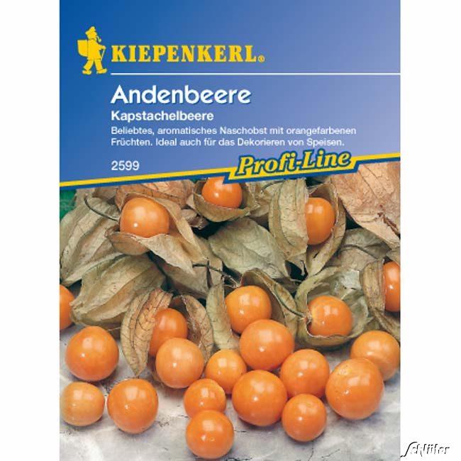Andenbeere Lieferform: Portionssaatgut von Kiepenkerl