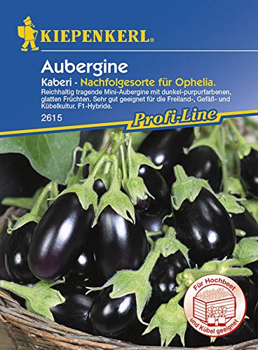 Aubergine Kaberi | Auberginensamen von Kiepenkerl von Kiepenkerl