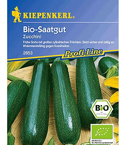Kiepenkerl Bio-Zucchini, grün,1 Portion von Kiepenkerl