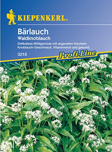 Sperli Gemüsesamen Waldknoblauch Bärlauch, grün von Sperli