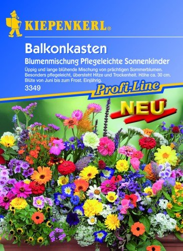 Balkonkasten-Mix "Pflegeleichte Sonnenkinder" von Kiepenkerl