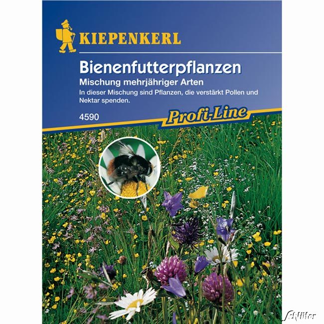 Bienenfutterpflanzen &#039;Mischung mehrjähriger Arten&#039; Lieferform: Portionssaatgut von Kiepenkerl