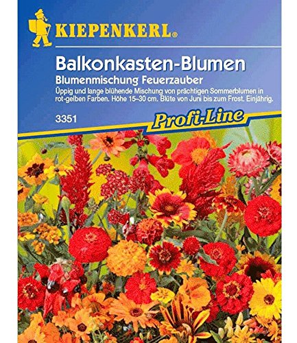 Kiepenkerl Blumen-Mix 'Feuerzauber', 1 Tüte Samen von Kiepenkerl