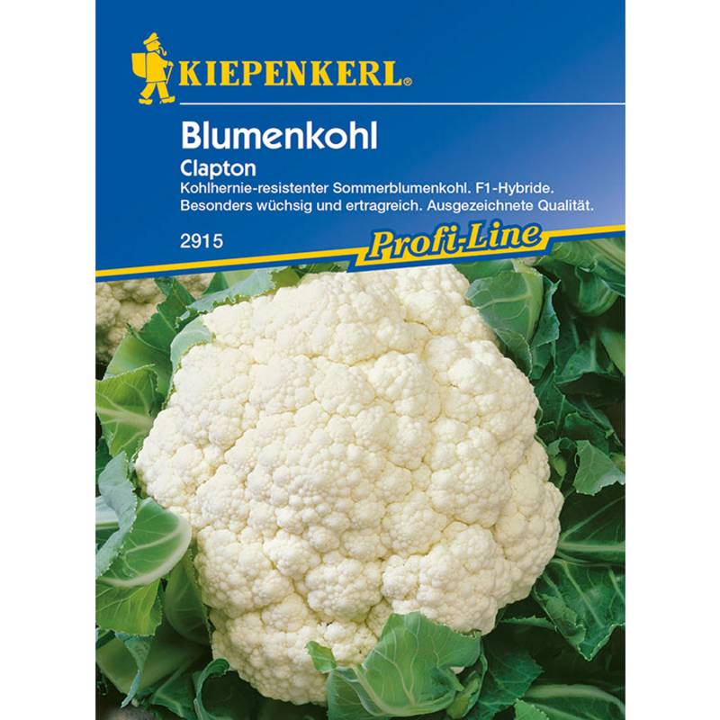 Blumenkohl &#039;Clapton&#039; Lieferform: Portionssaatgut von Kiepenkerl