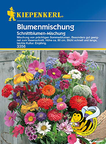 Blumenmischung Schnittblumen-Mischung, besonders gut geeignet zum Vasenschnitt, blüht schnell und lange von Kiepenkerl