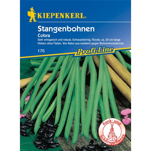 Bohnen - StangenBohnen - Cobra von Kiepenkerl von Kiepenkerl