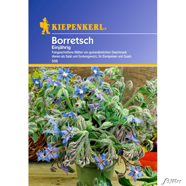 Borretsch Einjährig Lieferform: Portionssaatgut von Kiepenkerl