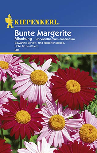 Bunte Margerite Mischung von Kiepenkerl von Kiepenkerl