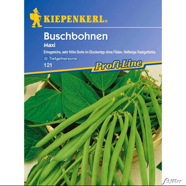 Buschbohne &#039;Maxi&#039; Lieferform: Portionssaatgut von Kiepenkerl