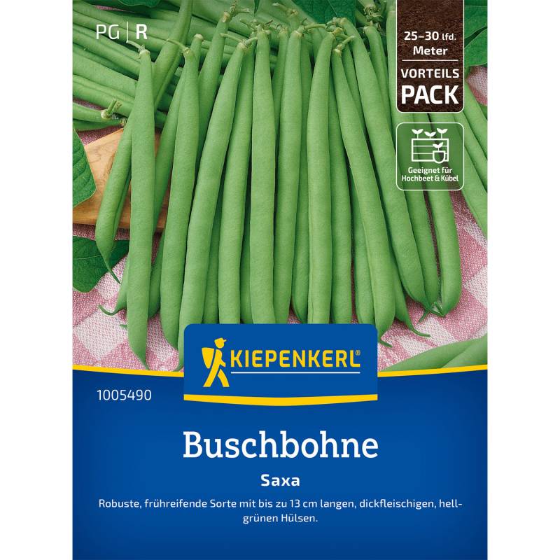 Buschbohne &#039;Saxa&#039; - Vorteilspackung Lieferform: Portionssaatgut von Kiepenkerl