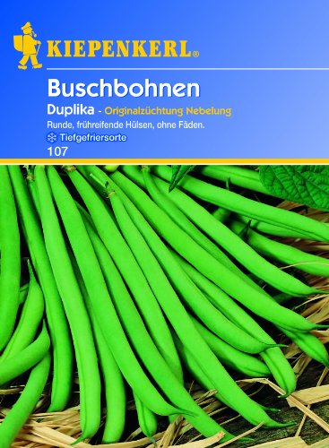 Kiepenkerl Buschbohnen 'Duplika',1 Portion von Kiepenkerl