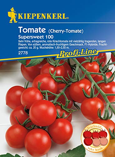 Cherry-Tomate Supersweet 100, F1, sehr frühe ertragreiche Kirschtomate mit vielzählig tragenden langen Rispen von Kiepenkerl