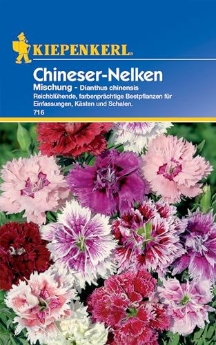 Chineser-Nelken Mischung von Kiepenkerl von Kiepenkerl