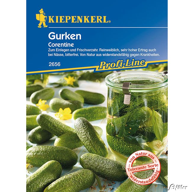 Einlegegurke &#039;Corentine&#039; Lieferform: Portionssaatgut von Kiepenkerl