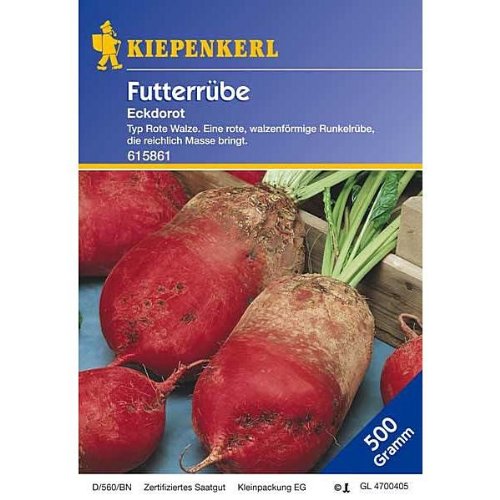 Futterrüben, 'Eckdorot' von Kiepenkerl