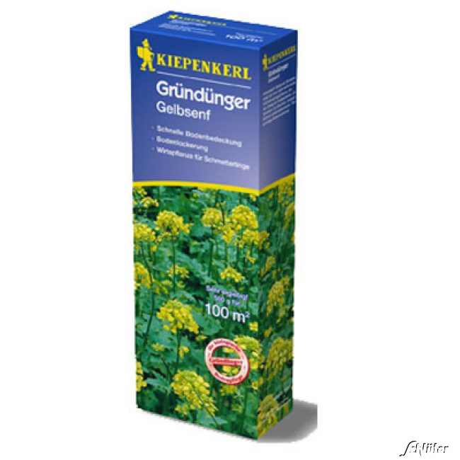 Gelbsenf Portionssaatgut, 500 g Lieferform: Portionssaatgut von Kiepenkerl