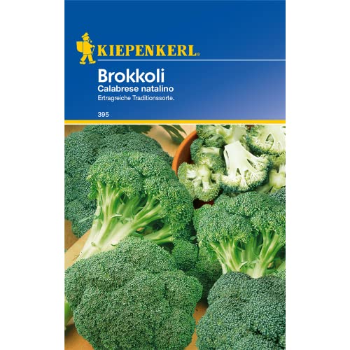Gemüsesamen - Brokkoli Calabrese natalino von Kiepenkerl von Kiepenkerl