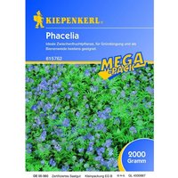 Kiepenkerl - Gründünger Phacelia 2kg - 615762 von Kiepenkerl